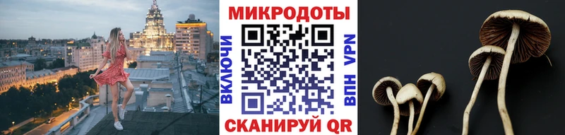 купить наркотик  гидра вход  Псилоцибиновые грибы Psilocybine cubensis  Новая Ляля 