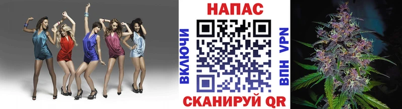 Конопля сатива  Новая Ляля 